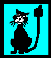 10-10 Cat